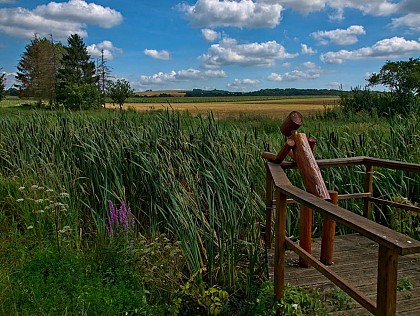 Boucle du bois de Chaumont