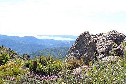 Les Roches Blanches - Rando 5