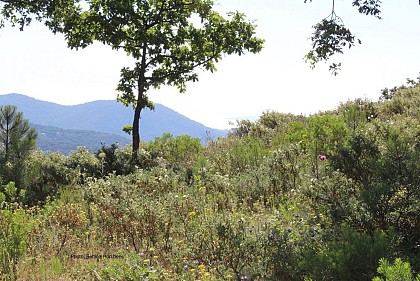 Les Cabrettes - Rando 8