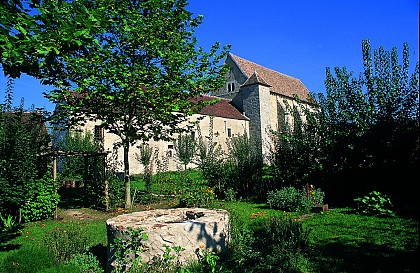 Brie by bike: from Coulommiers to Crécy-la-Chapelle