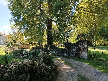 Le sentier de la Belle - Périgné