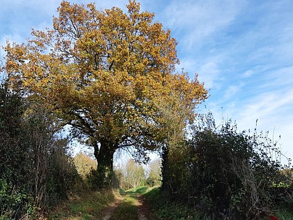 Circuit des Dragonnades - Prailles