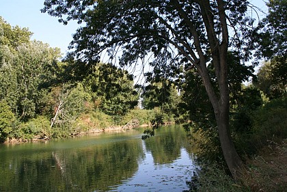 CIRCUIT LES BERGES DU VIDOURLE - ESPACE VTT FFC PAYS DE LUNEL