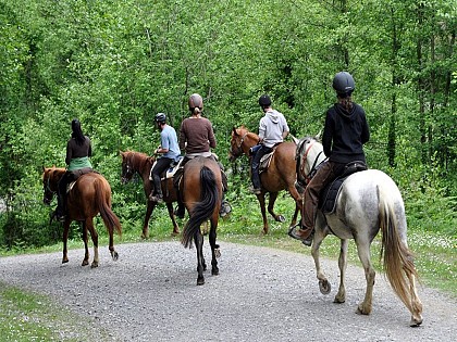 Le sentier des contrebandiers - De Saint-Palais à Ostabat - équestre