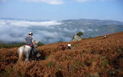 Le sentier des contrebandiers - Du Col des Veaux à Sare - équestre