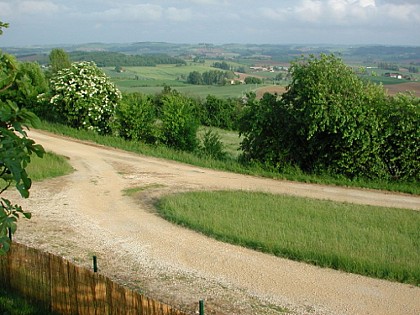 Tourtrès, du pech du moulin à vent au bois de Verteuil
