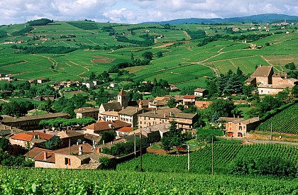 La promenade du Bois de Fée