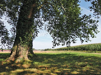 La randonnée des amoureux