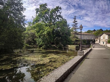 Sentier des ruisseaux - Montignac