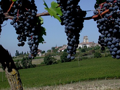 Montagnac, petite montagne d'Albret
