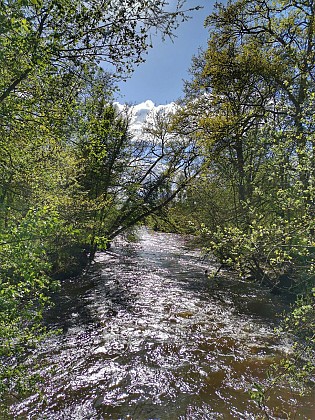 Romorantin VTT - Chemin du chêne Moreau