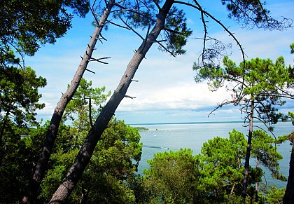 Le sentier du Lac à Maubuisson