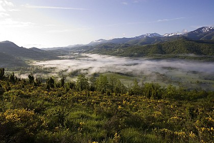 Circuit randonnée N° 35 Le sentier du Pays d'Olmes Nord *
