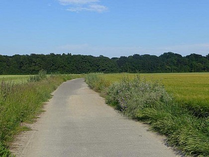 Evry-Courcouronnes, Bondoufle et Lisses : voyagez dans le temps au cœur de ces anciens villages