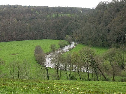Les méandres de la Vire