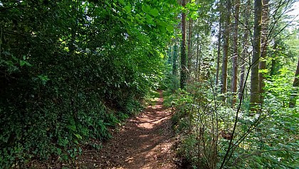 Boucle de Château Blanc | Les Sept Saints