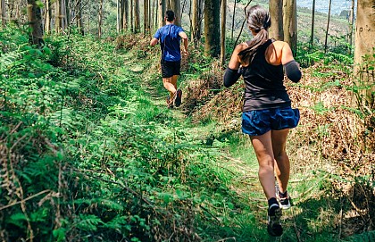 HuyForTrail - Bois de Tihange S