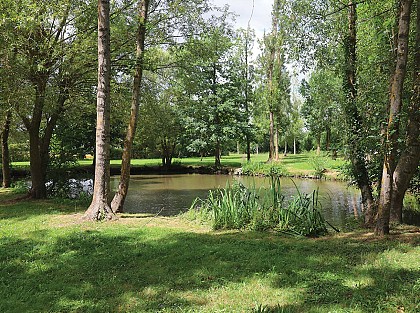 Au bord du ru des Méances