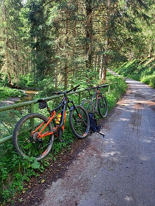 La Roche-en-Ardenne - Mountainbike 3