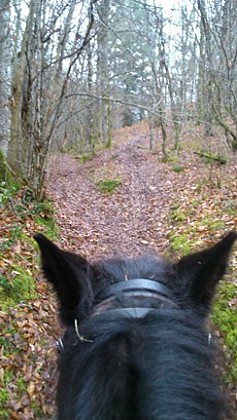 Boucle équestre du Château de la Chapoulie à Peyrignac