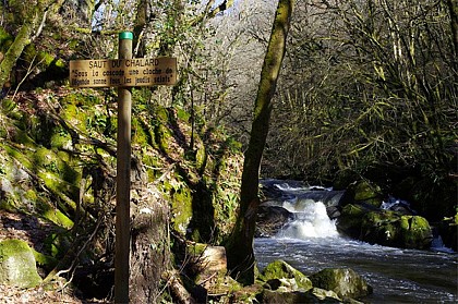 Sous les ombrages du Périgord Vert