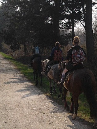 Ballade des bas champs 1