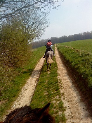 Balade dans les Froises