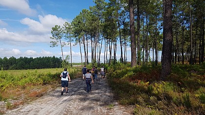 Sentier des grues cendrées et de Guiron