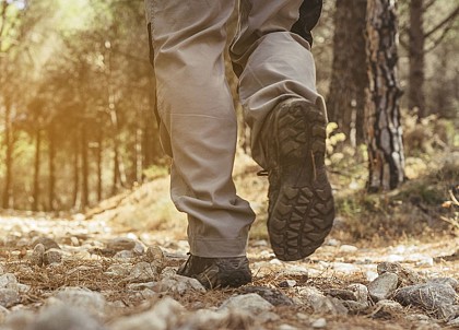 Les chemins des troubadours