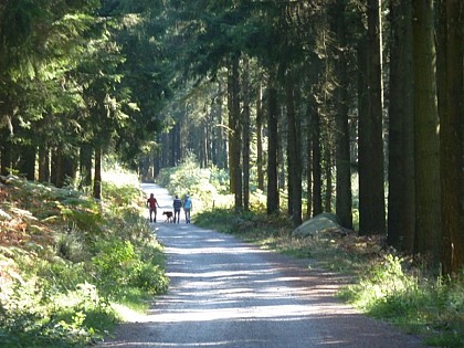 Circuit de randonnée pédestre n° 7 Chabrières