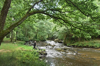 Circuit Pédestre N°FC5 De Fursac à Paulhac