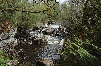 Circuit Pédestre N°36 CC : "Thauron par la Face Sud"
