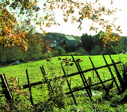 Circuit pédestre n°GB3 L'étang de la Ribbe