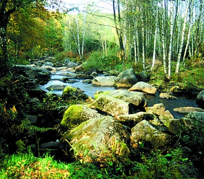 Circuit pédestre n°FC4 Dans les bois de Chabannes