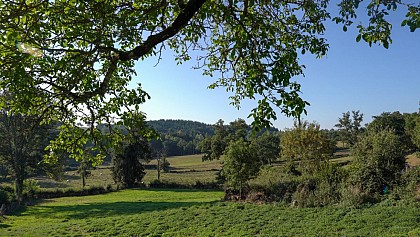 Circuit de randonnée : sentier ONF