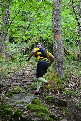 Circuit Trail n°7 : les bois de Sainte Feyre
