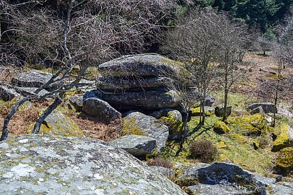 Circuit Trail n°2 : La petite carrière