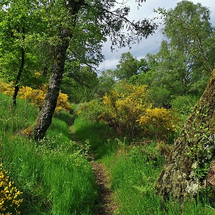 Circuit Pédestre N°66 : "Sentier de Beauvais"