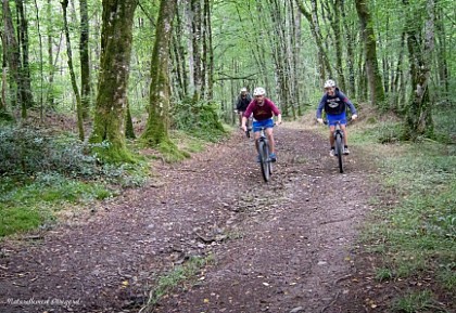 Circuit VTT Naturellement Périgord n°1 vert