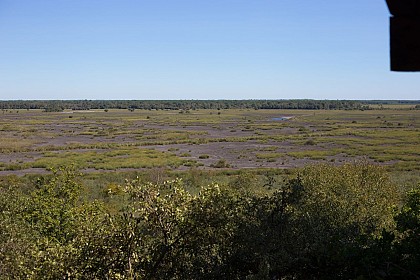 Le sentier de la Réserve Naturelle de l’étang de Cousseau