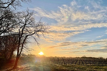 Boucle de l'ancienne cure