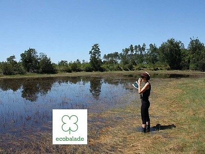 A Brocas, l'écobalade des lagunes