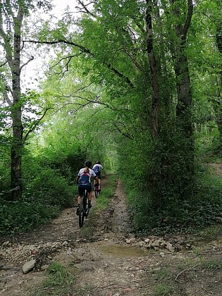 Circuit VTT n°11 - Montpezat