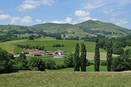 Belekarre
