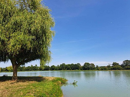 Entre brandes et plaines