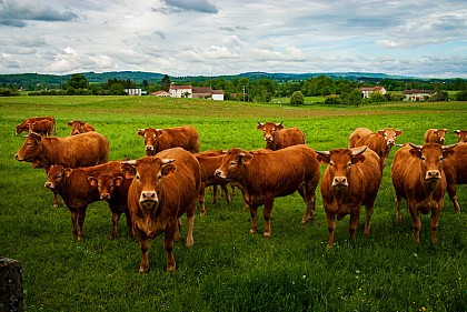 Circuit de la colline catalacoise
