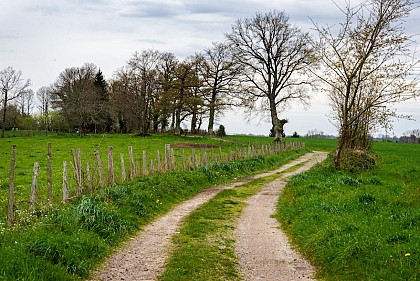 Sentier des aurieres