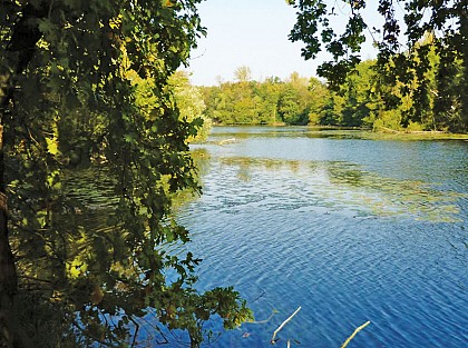 La réserve de la Bassée