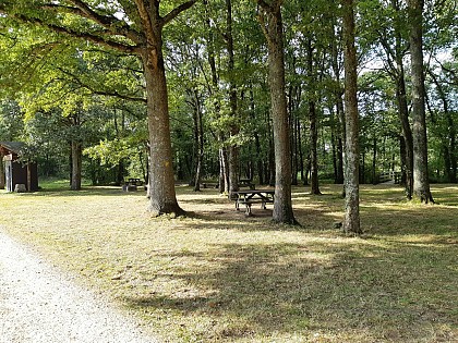 Walking trail of La Chevallerais