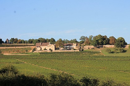 Découverte nature de la Côte Chalonnaise à Givry